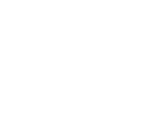 Responsive Logo image